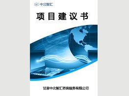 中北智匯咨詢 專業(yè)項(xiàng)目建議書撰寫服務(wù)，性價比與質(zhì)量兼具